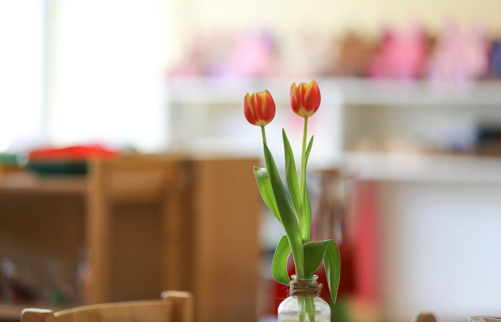 Inklusion ist uns wichtig!