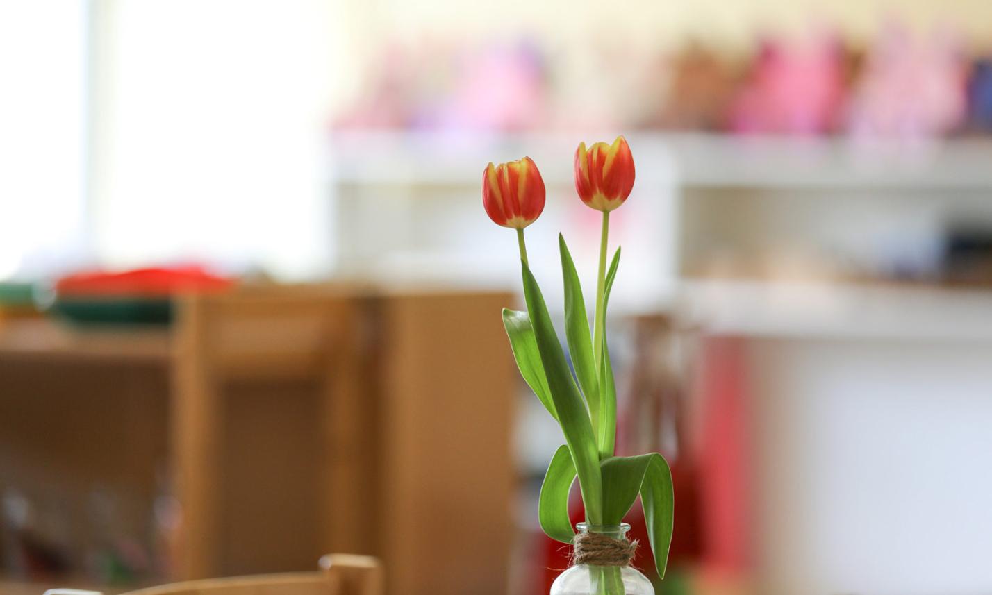 Inklusion ist uns wichtig!