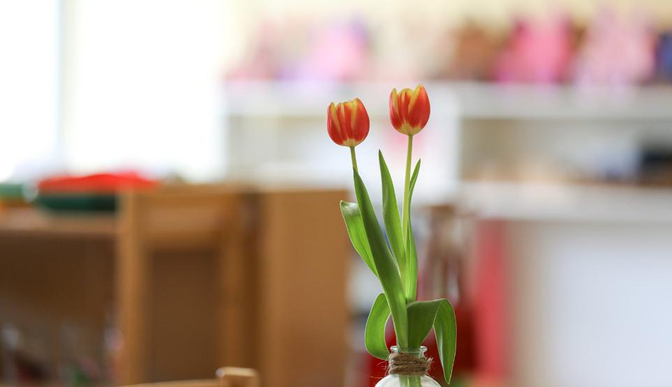 Inklusion ist uns wichtig!